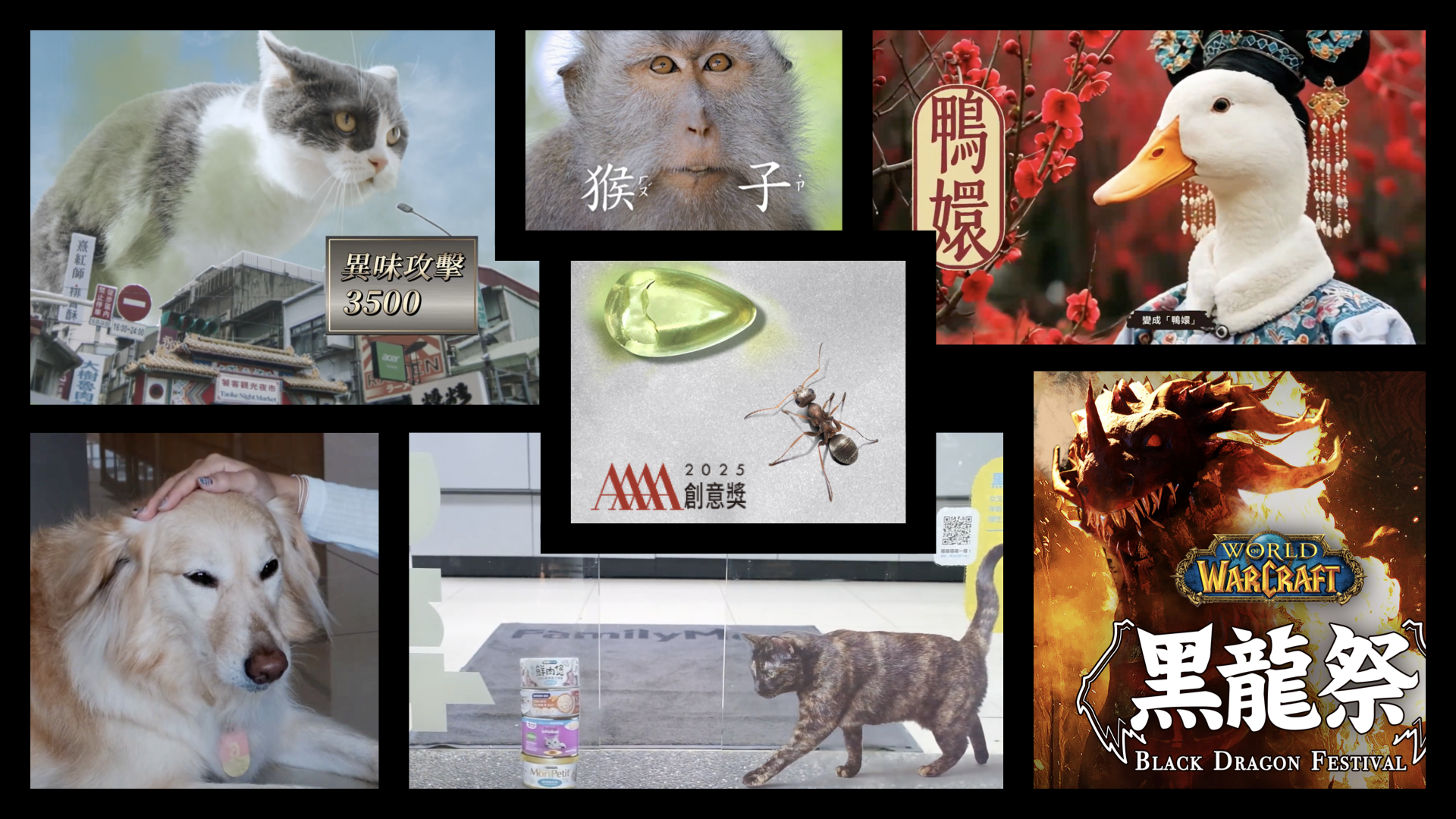 【4A創意獎】入圍作品系列報導① 動物篇：廣告舞台上最會搶戲的「牠們」
